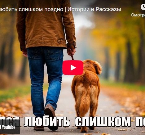 Научился любить слишком поздно